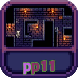 pp11